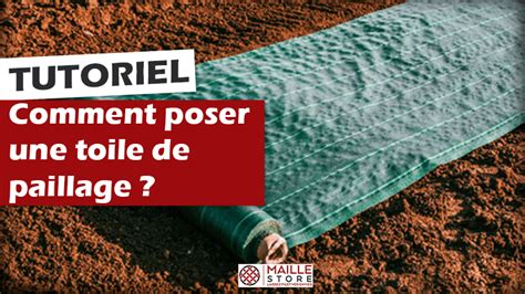 Infographie sur les étapes de pose d'une toile de paillage