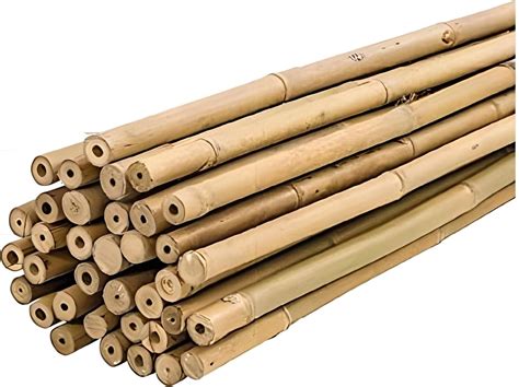 Assortiment de tuteurs en bambou de différentes tailles