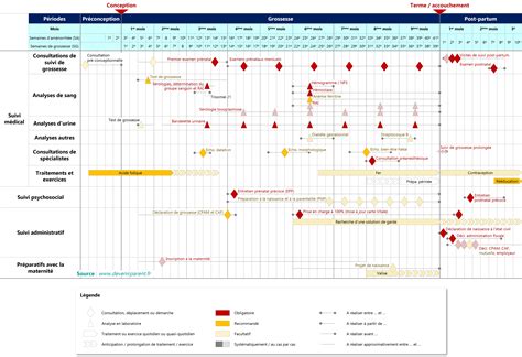 Calendrier de suivi de la croissance d'une plante sur 8 semaines réalisé par des élèves