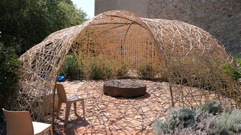 Détail photographique d'une structure en canne de Provence utilisée comme tuteur pour des plants de tomates et courges.