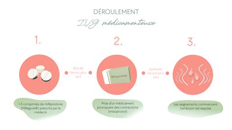 Infographie comparant les étapes de culture des graines biologiques versus conventionnelles