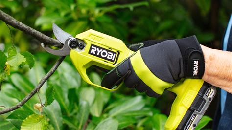 Sécateur électrique Ryobi utilisé pour la taille de rosiers dans un jardin ensoleillé