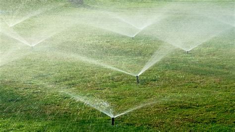 Infographie comparant les systèmes d'arrosage automatique (goutte-à-goutte vs cônes)