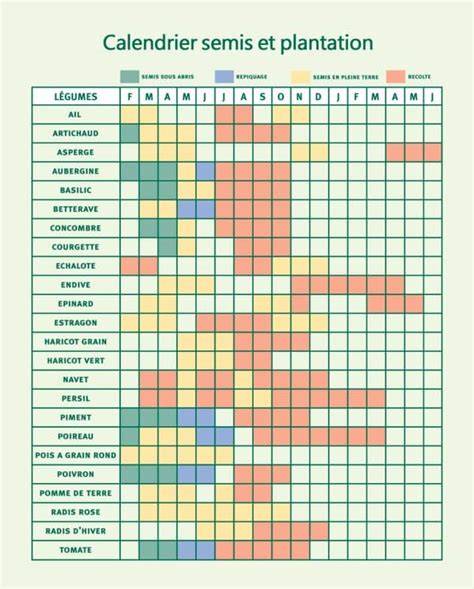 Calendrier visuel des semis de printemps par mois