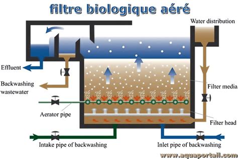 Schéma illustrant le flux d'eau à travers un filtre à sable industriel