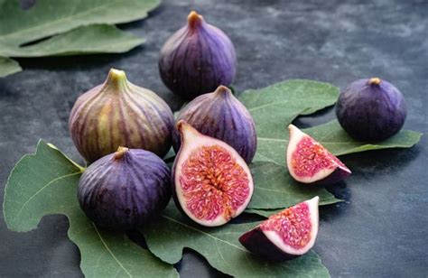 Figues fraîches sur un arbre dans un jardin