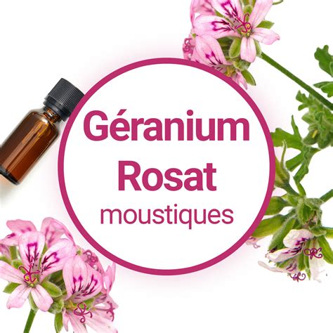 Produits cosmétiques à base d'huile essentielle de géranium rosat