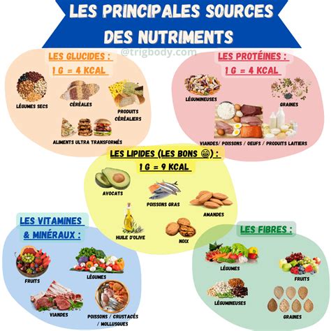 Représentation schématique des nutriments dans les lentilles et leur impact sur la croissance des cheveux