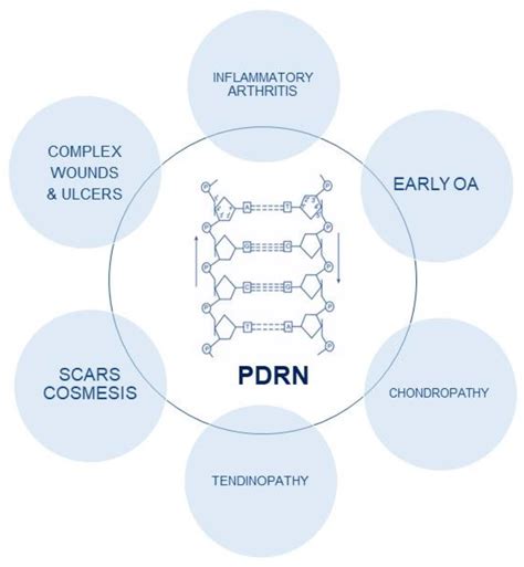 Schéma moléculaire du PDRN