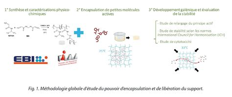 Illustration d'exosomes transportant des molécules actives