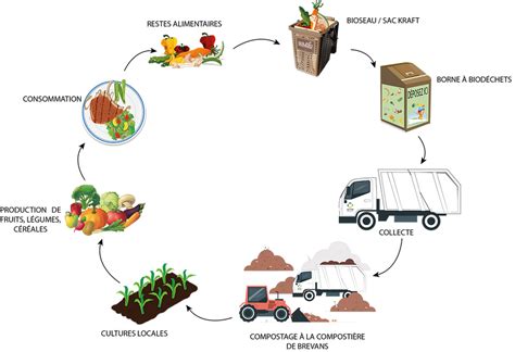 Schéma illustrant le cycle de transformation des biodéchets en compost