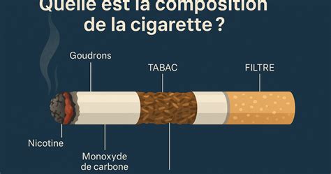 Schéma illustrant la structure d'un mégot de cigarette