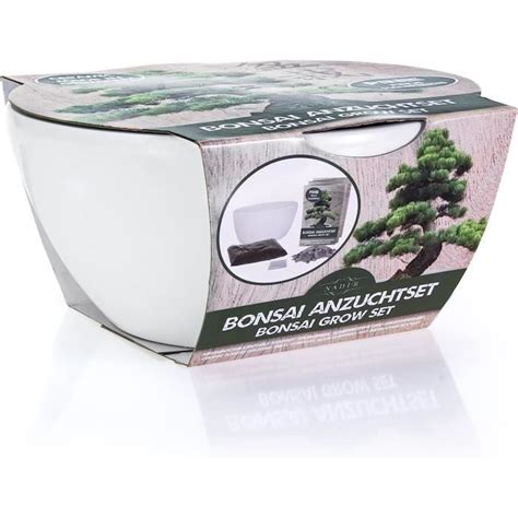 Kit de culture pour bonsaï de cerisier du Japon