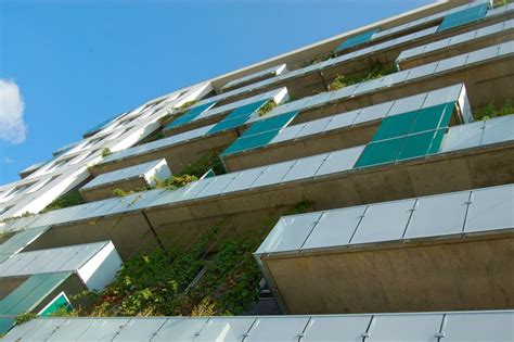 Exemple de façade végétalisée avec système de câbles