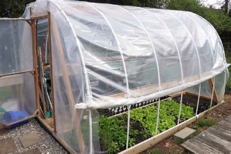 Schéma montrant une serre de jardin avec des rangs de haricots et un système d'arrosage goutte-à-goutte