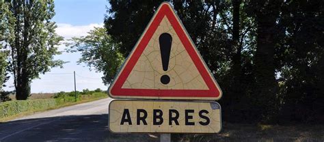 Panneau attention aux arbres
