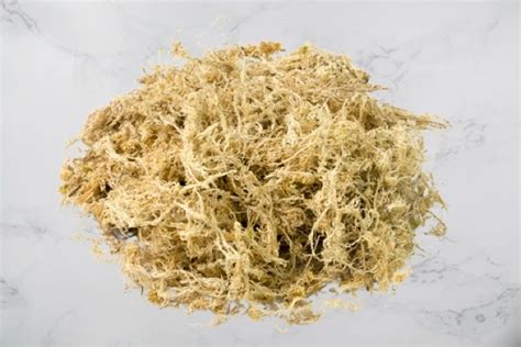 Sphaigne fraîche et tourbe blonde