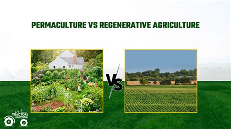 Permaculture vs. Agriculture Industrielle