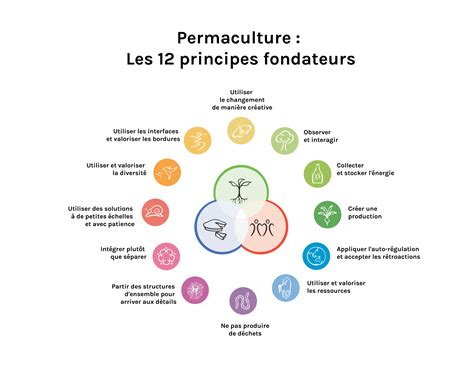 Principes fondamentaux de la permaculture