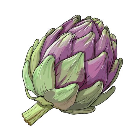 illustration d'artichauts frais avec leurs tiges