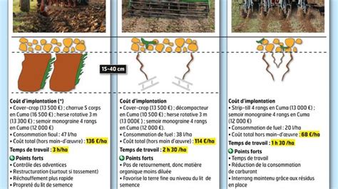 Comparaison des effets du labour et du non-labour sur le stock grainier