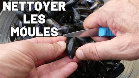 Processus de nettoyage des moules au centre conchylicole