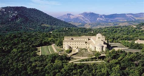 Abbaye Sainte-Madeleine du Barroux et ses oliviers