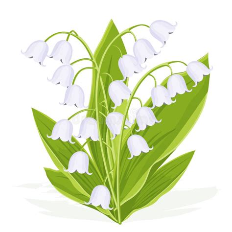 illustration muguet forêt