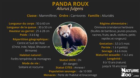 Carte du 1ermai avec des pandas