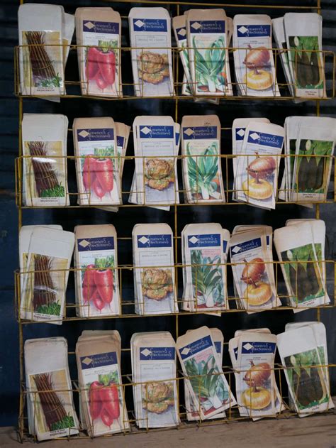 Présentoir de sachets de graines en magasin