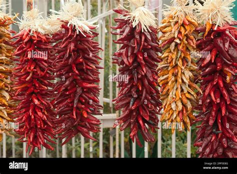 Piments séchés suspendus