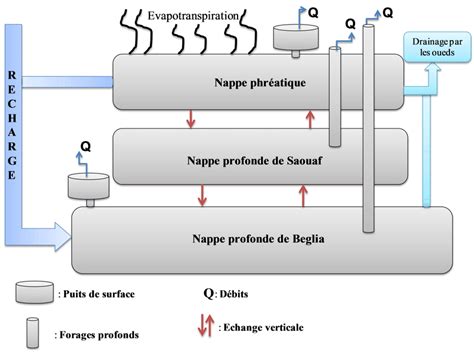 Schéma illustrant la différence entre verse physiologique et verse parasitaire