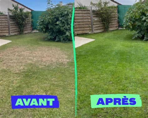 Schéma illustrant la pelouse avant et après scarification, montrant la suppression du feutre et l'amélioration de la pénétration de l'eau et des nutriments.