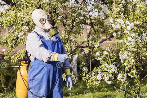 Jardinier entretenant des arbres fruitiers