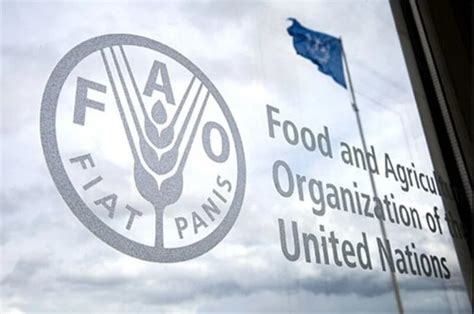 Logo de l'IFA et de la FAO