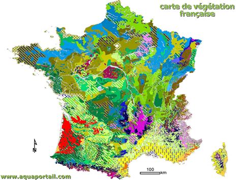 Carte des zones de végétation en fonction de l'altitude
