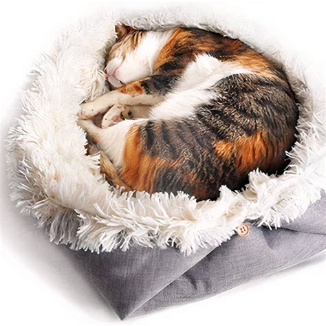 Chat pétrissant une couverture moelleuse