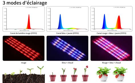 Spectre lumineux pour la croissance et la floraison des plantes