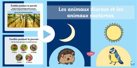 Tableau comparatif de la répartition des animaux diurnes et nocturnes