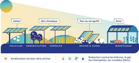 Exemple d'installation agrivoltaïque