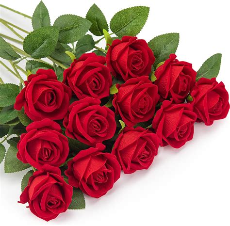 Comparaison entre roses naturelles et artificielles