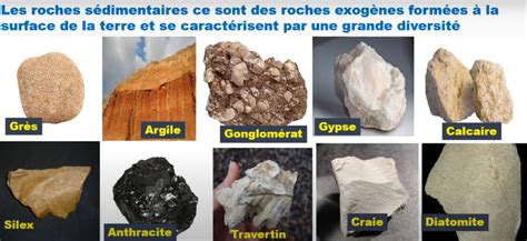 Différents types de roches adaptées au bonsaï sur roche