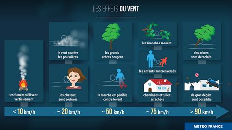 Schéma illustrant les effets du vent et de la pluie sur un sol non paillé