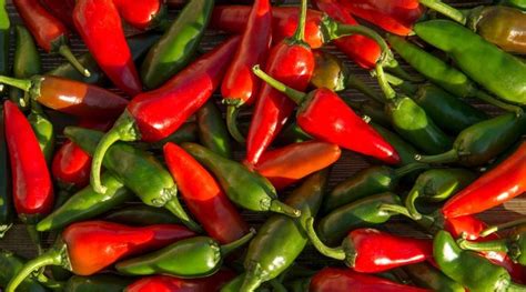 Piments mexicains colorés sur un marché