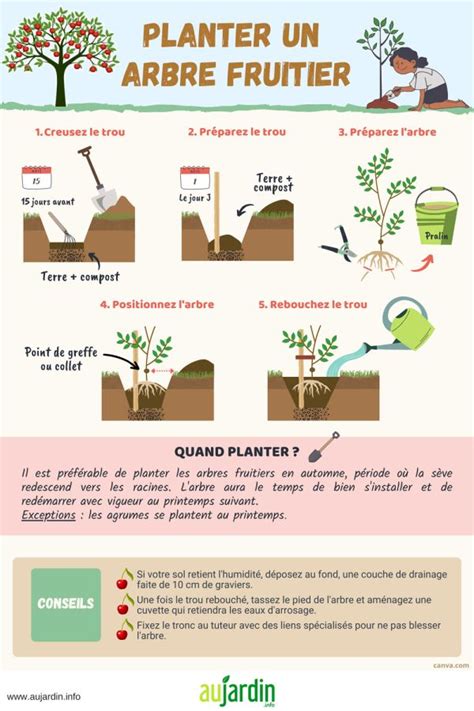 Guide de plantation des arbres fruitiers