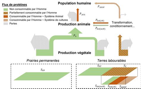 Le mécanisme d'indemnisation des pertes de récoltes pour les prairies