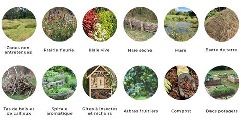 Illustration des différents aménagements favorables à la biodiversité
