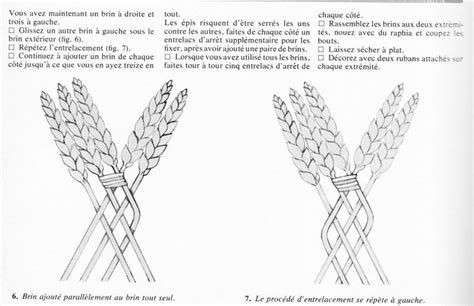 Schéma illustrant les différentes étapes du tressage de la paille en cercle