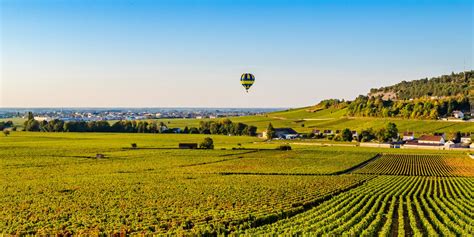 Vignoble de Savigny-lès-Beaune
