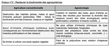 Tableau comparatif des intrants en maraîchage conventionnel et biologique